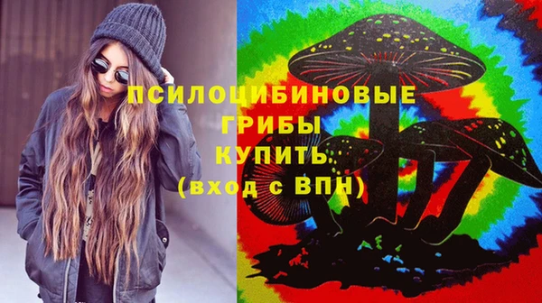 амф Алзамай