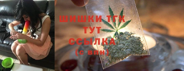 дмт Алексин