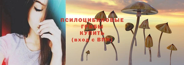 амф Алзамай