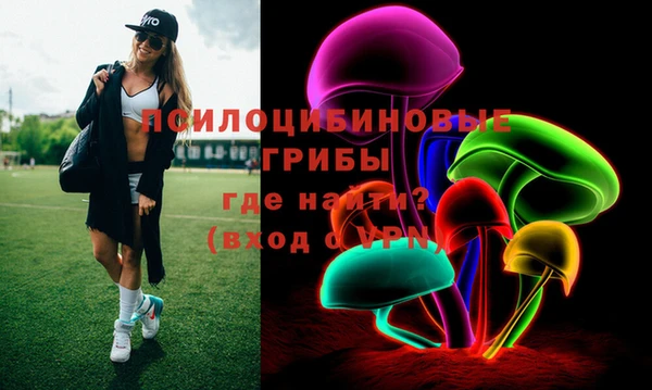 дмт Алексин
