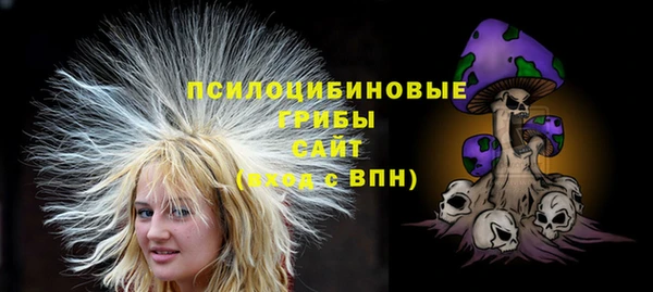 дмт Алексин