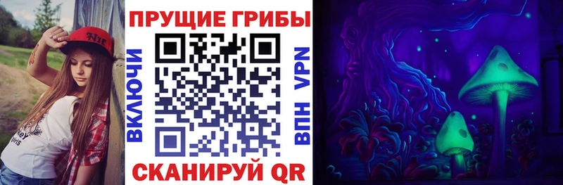 Псилоцибиновые грибы мицелий  Завитинск 